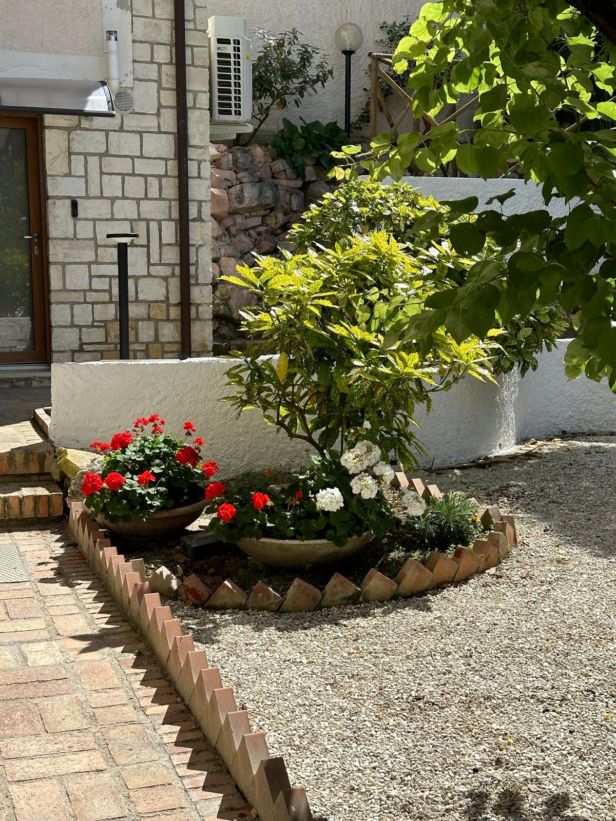 Aiuola in giardino